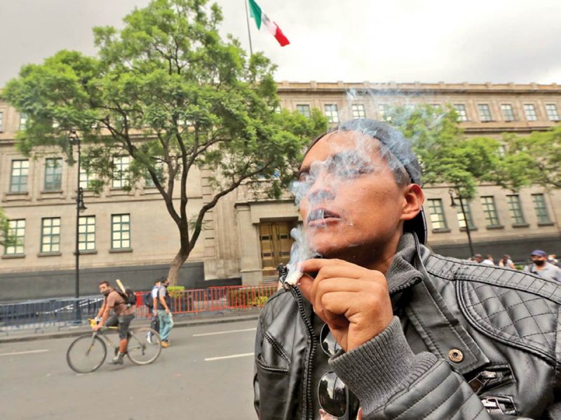 Debate de legalización despierta el consumo de cannabis; 96 han muerto por sobredosis