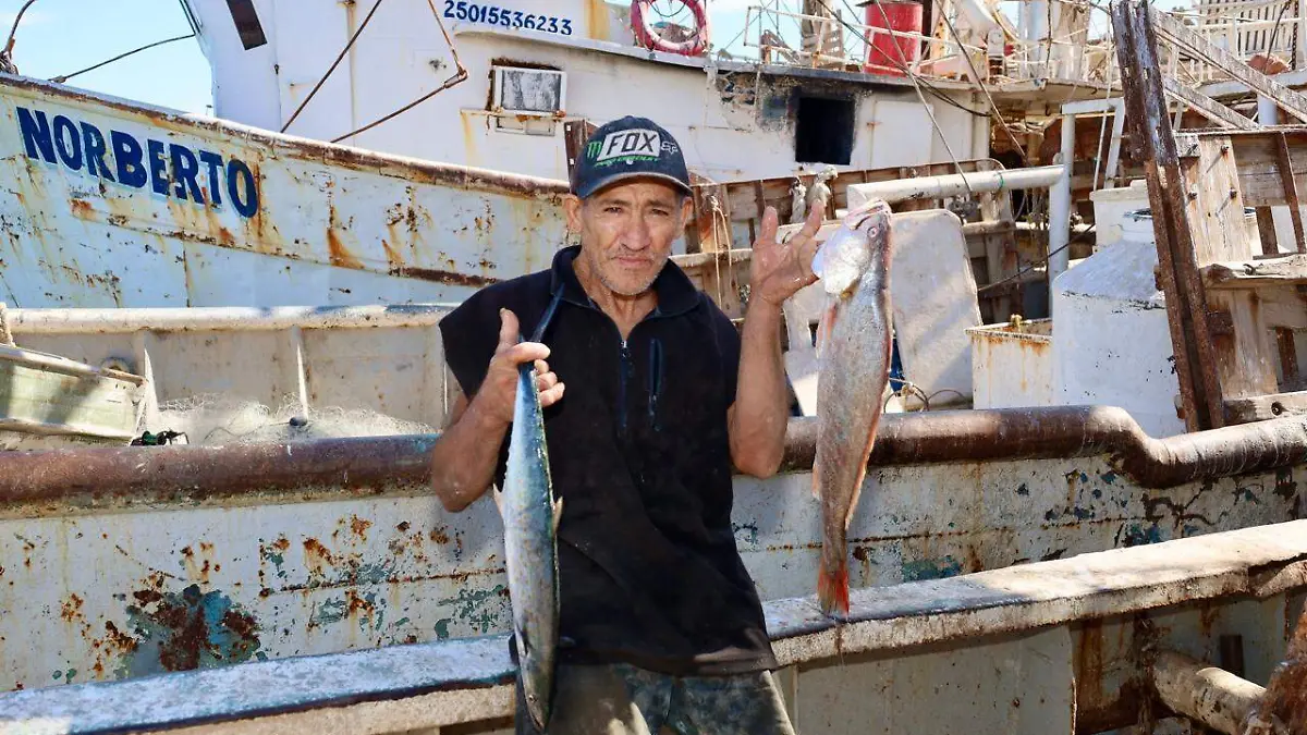 Produce San Felipe 394 mdp al año en pesca